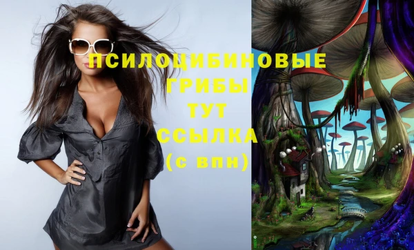 синтетический гашиш Абинск