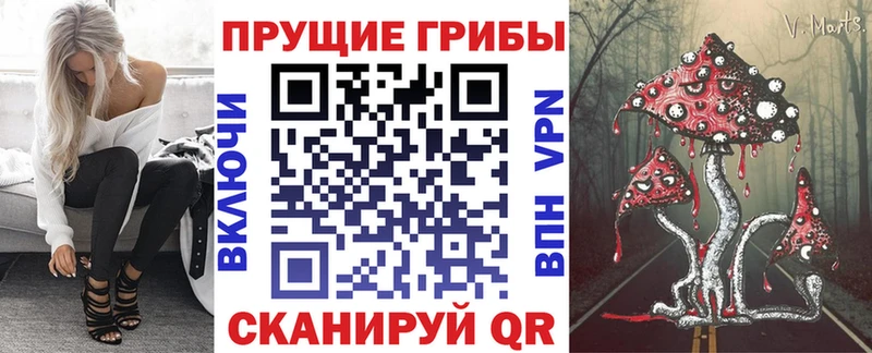 Галлюциногенные грибы ЛСД  Болгар 